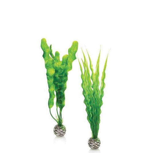 biOrb Medium Green Plant Set