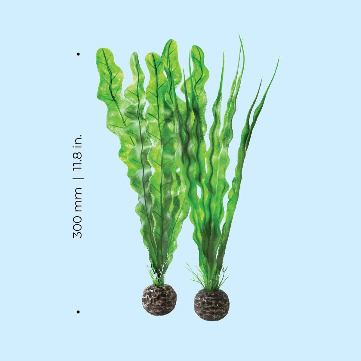 biOrb Medium Green Plant Set