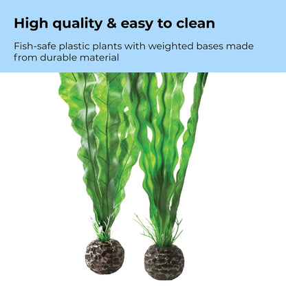 biOrb Medium Green Plant Set