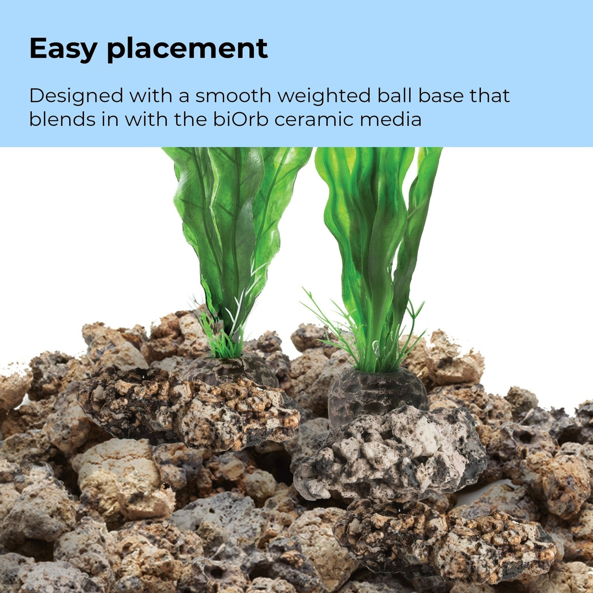 biOrb Medium Green Plant Set