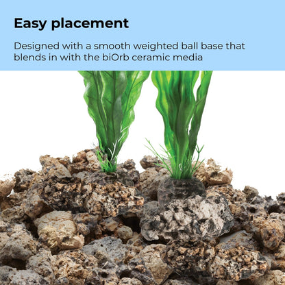 biOrb Medium Green Plant Set BiOrb