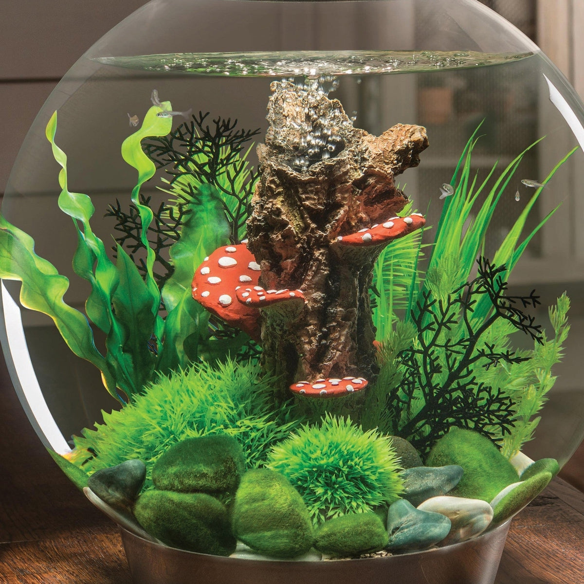 biOrb Medium Green Plant Set BiOrb