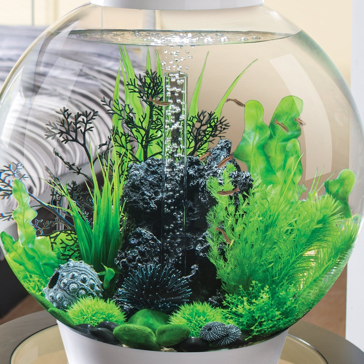 biOrb Medium Green Plant Set BiOrb
