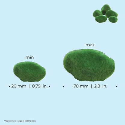biOrb Moss Pebbles Set BiOrb