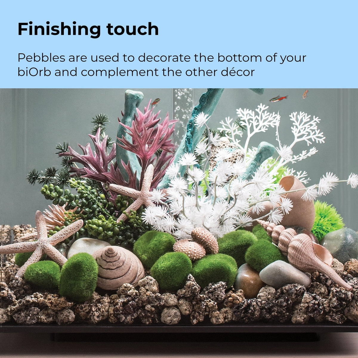 biOrb Moss Pebbles Set BiOrb