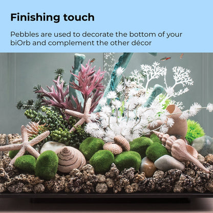 biOrb Moss Pebbles Set BiOrb