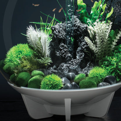 biOrb Moss Pebbles Set BiOrb