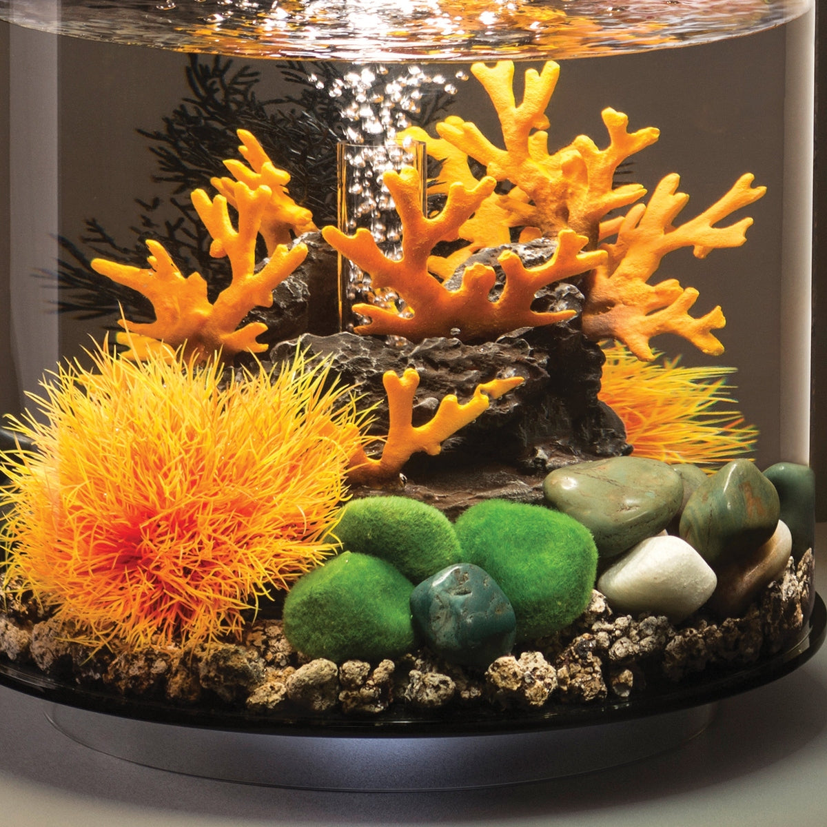 biOrb Moss Pebbles Set BiOrb