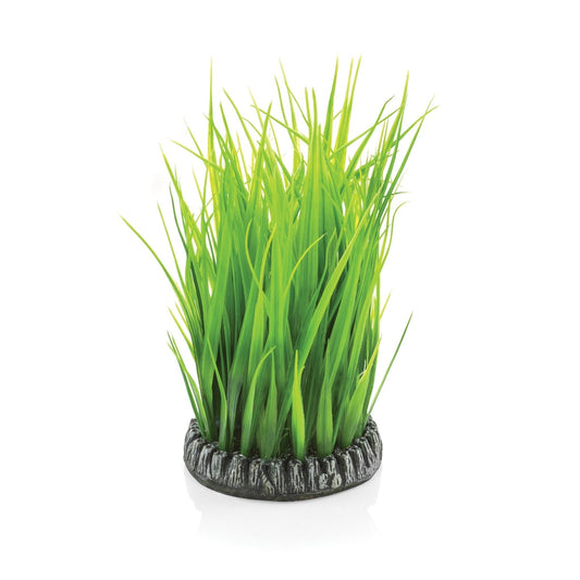 biOrb Small Grass Ring BiOrb