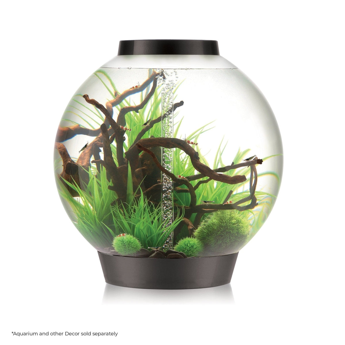 biOrb Small Grass Ring BiOrb