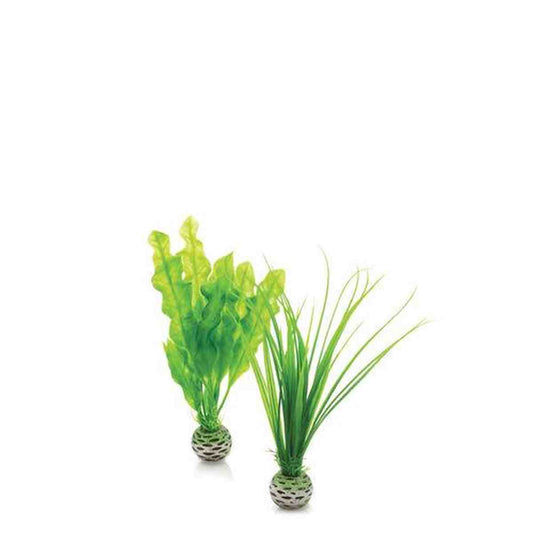 biOrb Small Green Plant Set