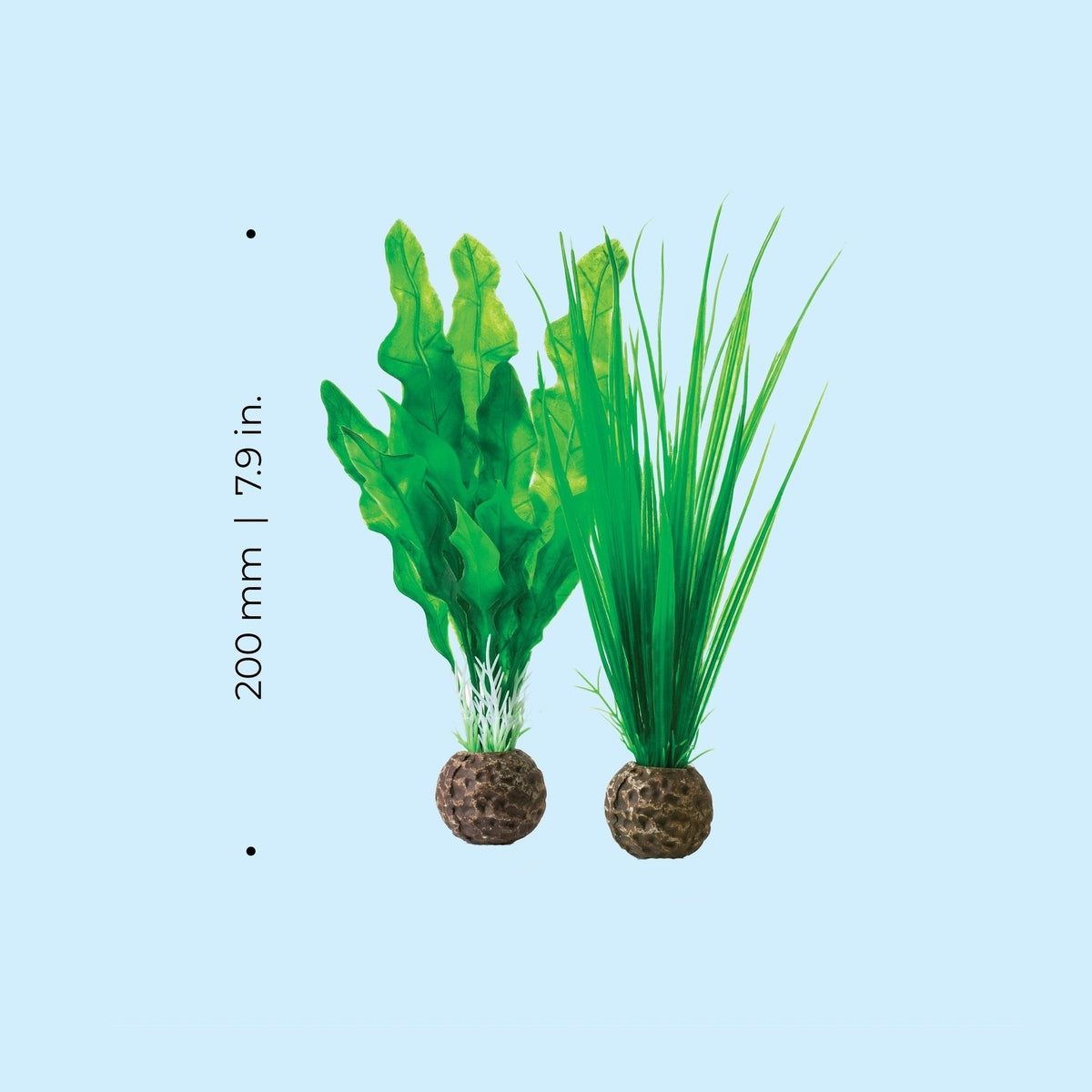 biOrb Small Green Plant Set