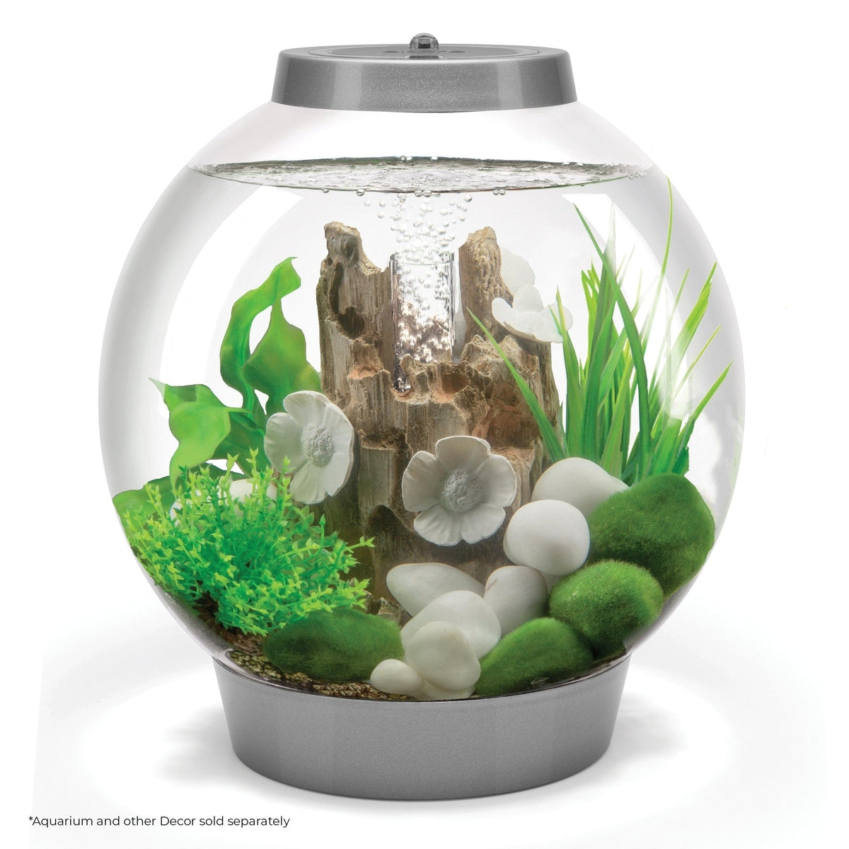 biOrb Small Green Plant Set BiOrb