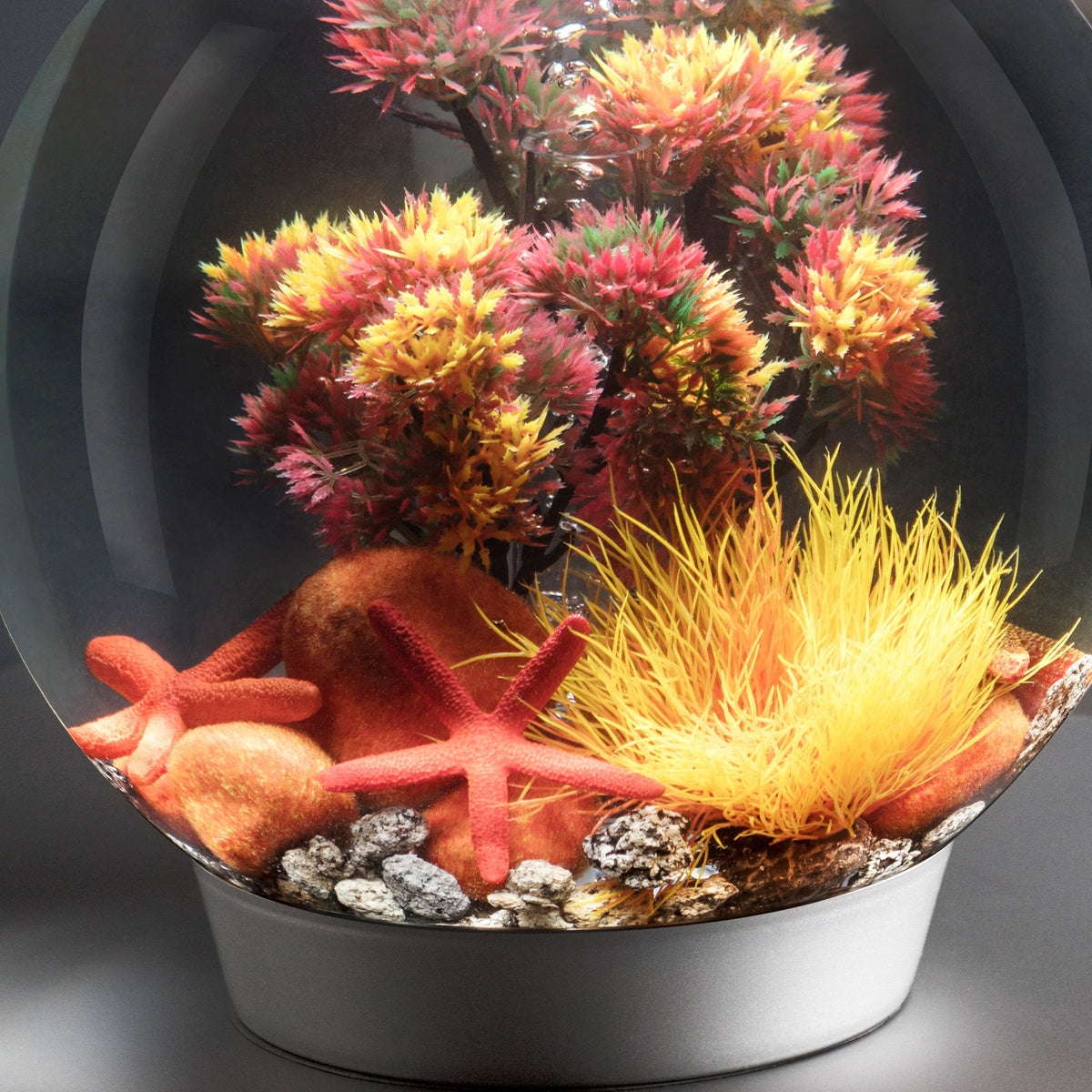 biOrb Starfish Set - Red BiOrb