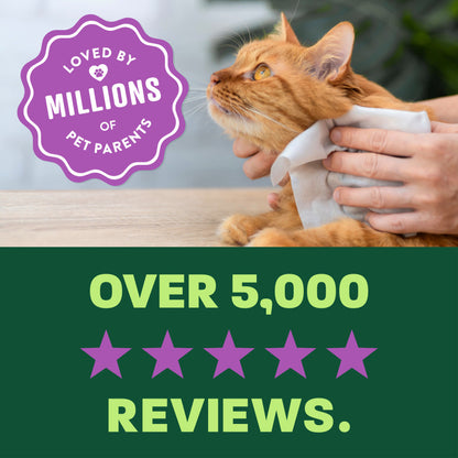 TropiClean HypoAllergenic Cat Wipes.