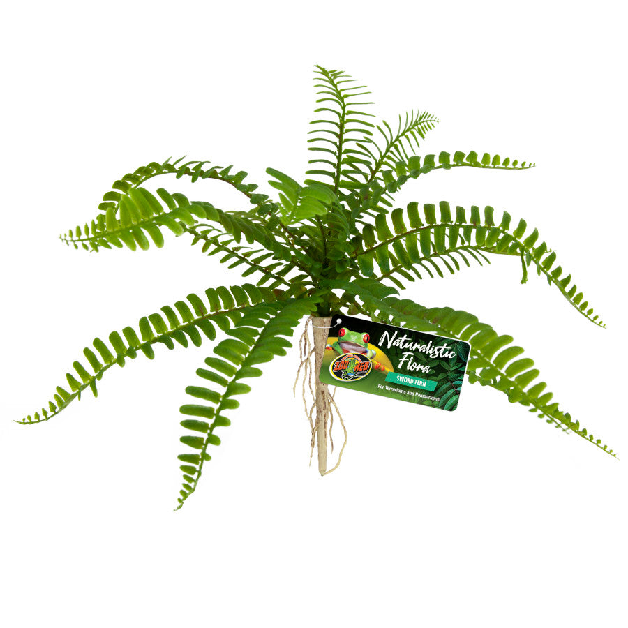 Zoo Med Naturalistic Flora Sword Fern Terrarium Plant