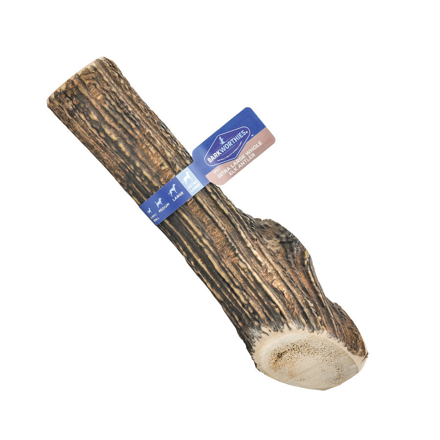 Barkworthies Whole Elk Antler Dog Treat