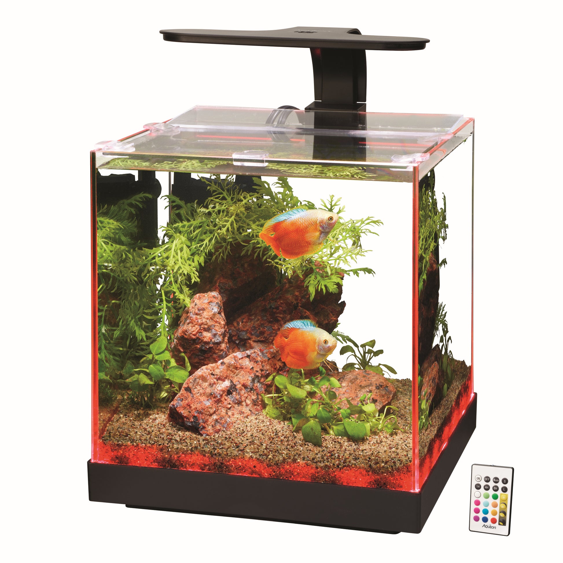 Aqueon Edgelit Rimless Cube Glass Aquariums - Size 3