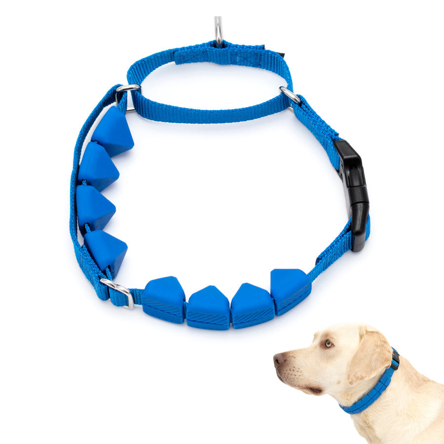 PetSafe Soft Point Training Collar