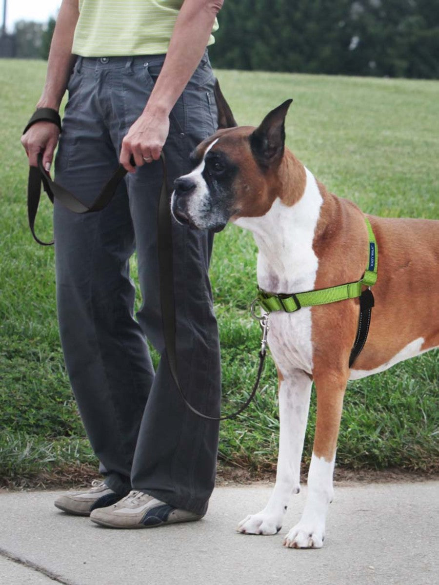 PetSafe Deluxe Easy Walk Steel Dog Harness