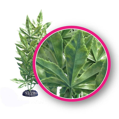 ABOUT US Weco Products Dream Series Hash Aquarium Plant