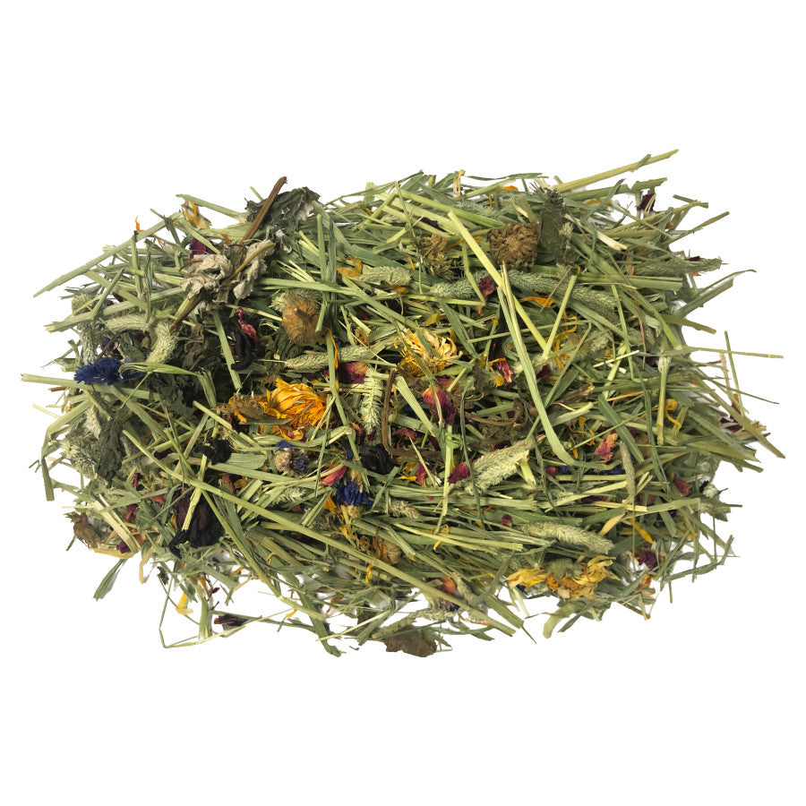 Komodo Tortoise Hay w/Wildflowers