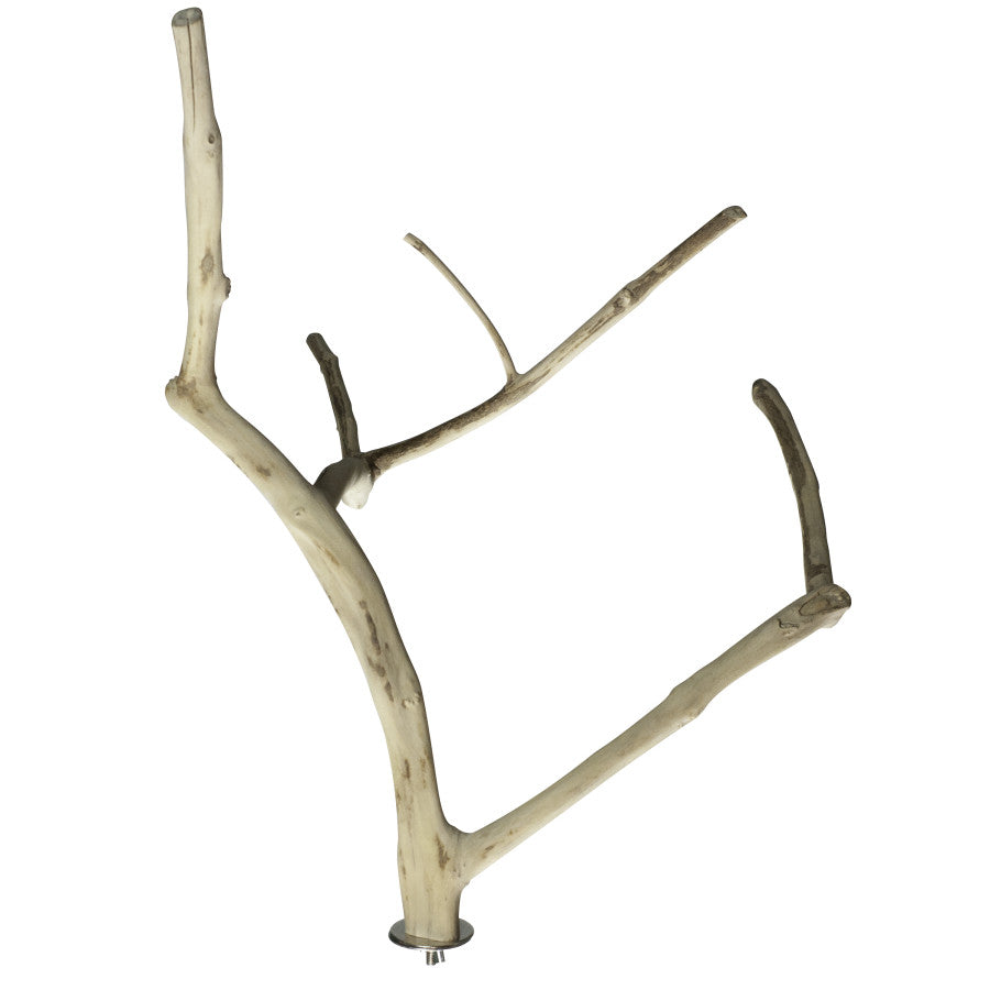 A & E Cages Java Wood Multi Branch Bird Perch