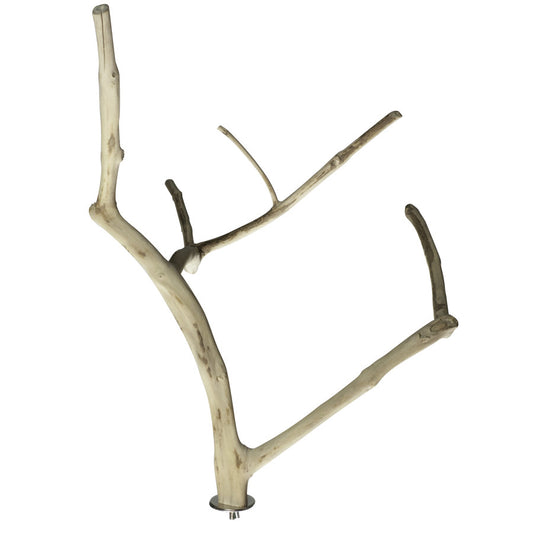 A & E Cages Java Wood Multi Branch Bird Perch