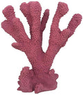 Weco Products South Pacific Coral Cats Paw Ornament