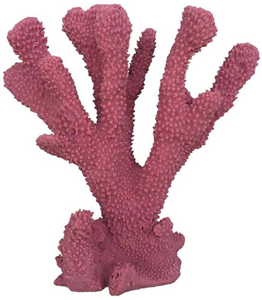 Weco Products South Pacific Coral Cats Paw Ornament