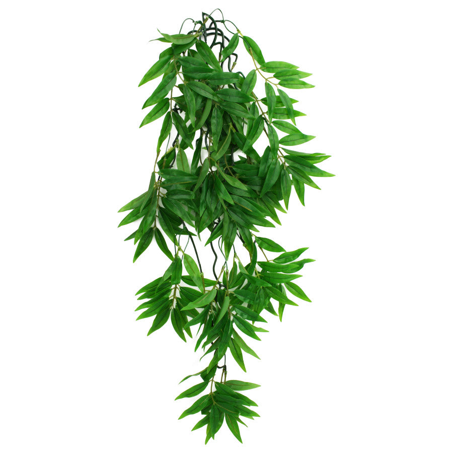 Komodo Bamboo Hanging Plant