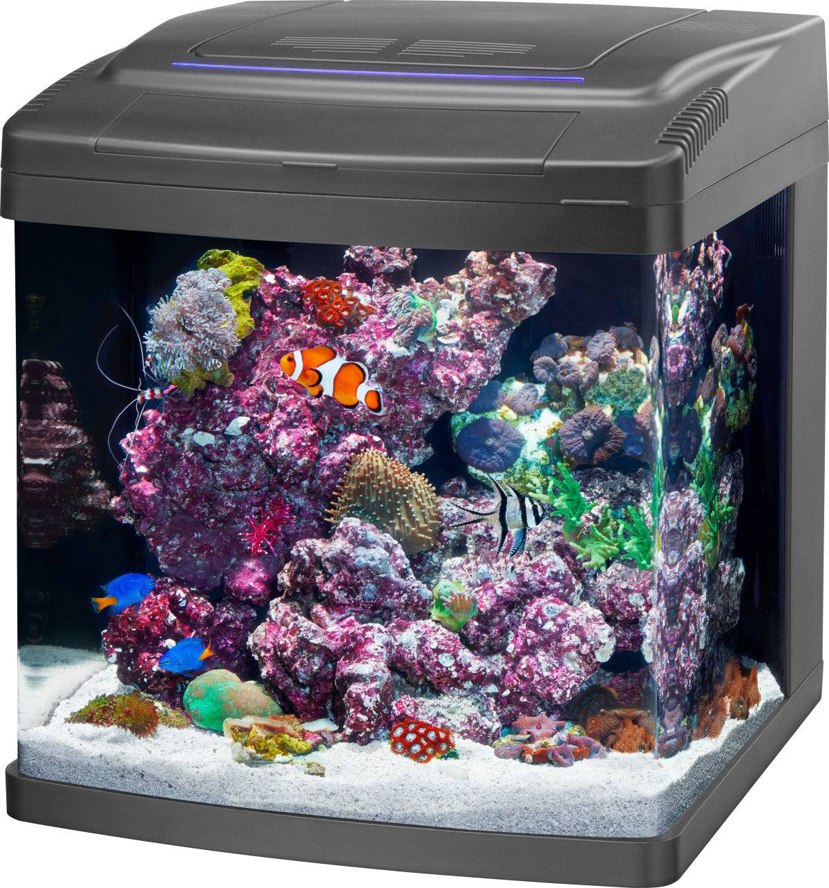 Coralife Coralife SMART BioCube Jr - 1ea/14 gal