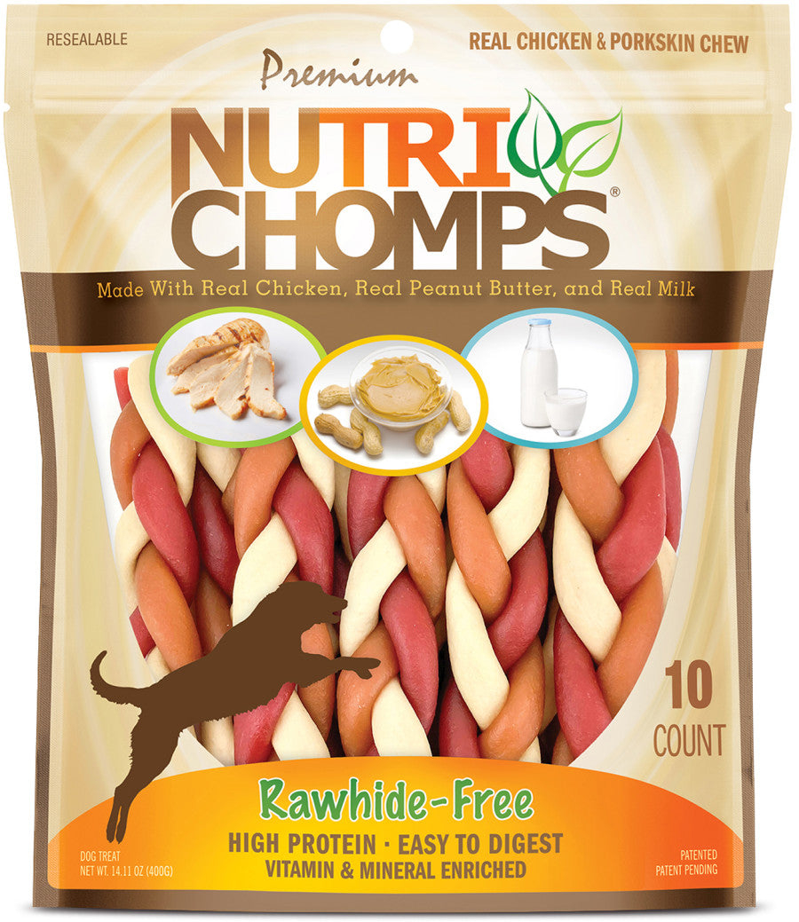 Scott Pet Nutri Chomps Braids Dog Chew