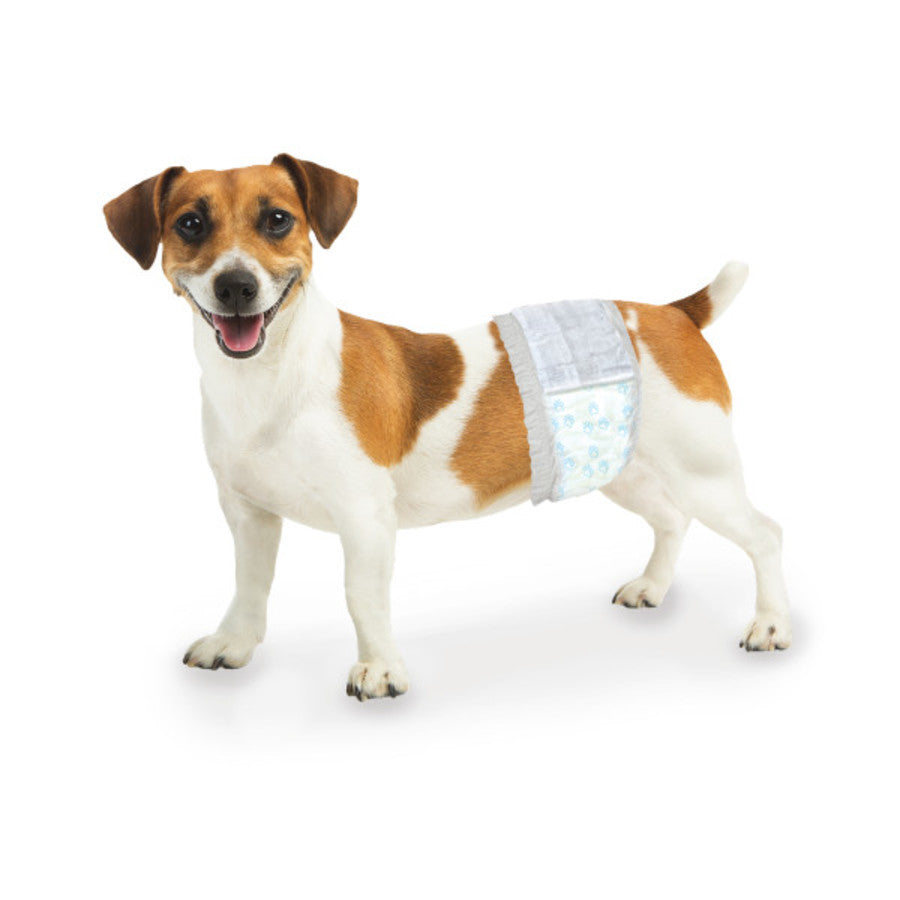 SPECIALS RESOURCES CONTACT US MY ACCOUNT Dog Cleaning and Waste Disposal Supplies Diapers Four Paws Wee-Wee® Disposable Male Dog Wraps