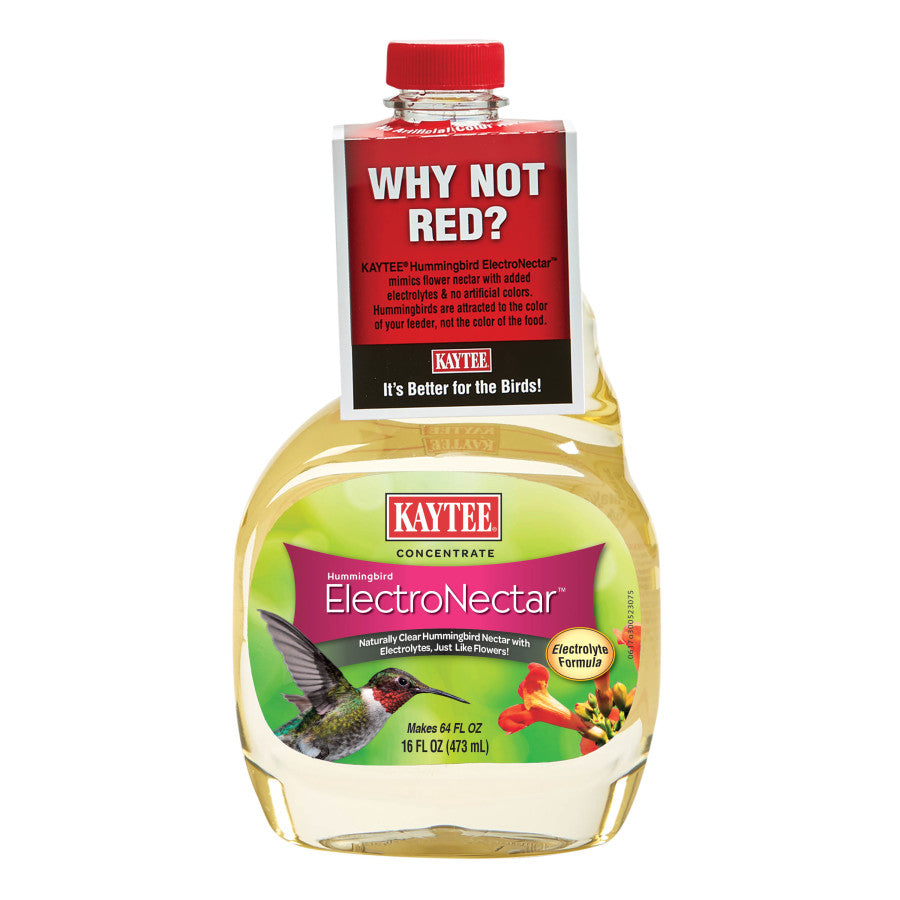 Kaytee Hummingbird ElectroNectar Concentrate
