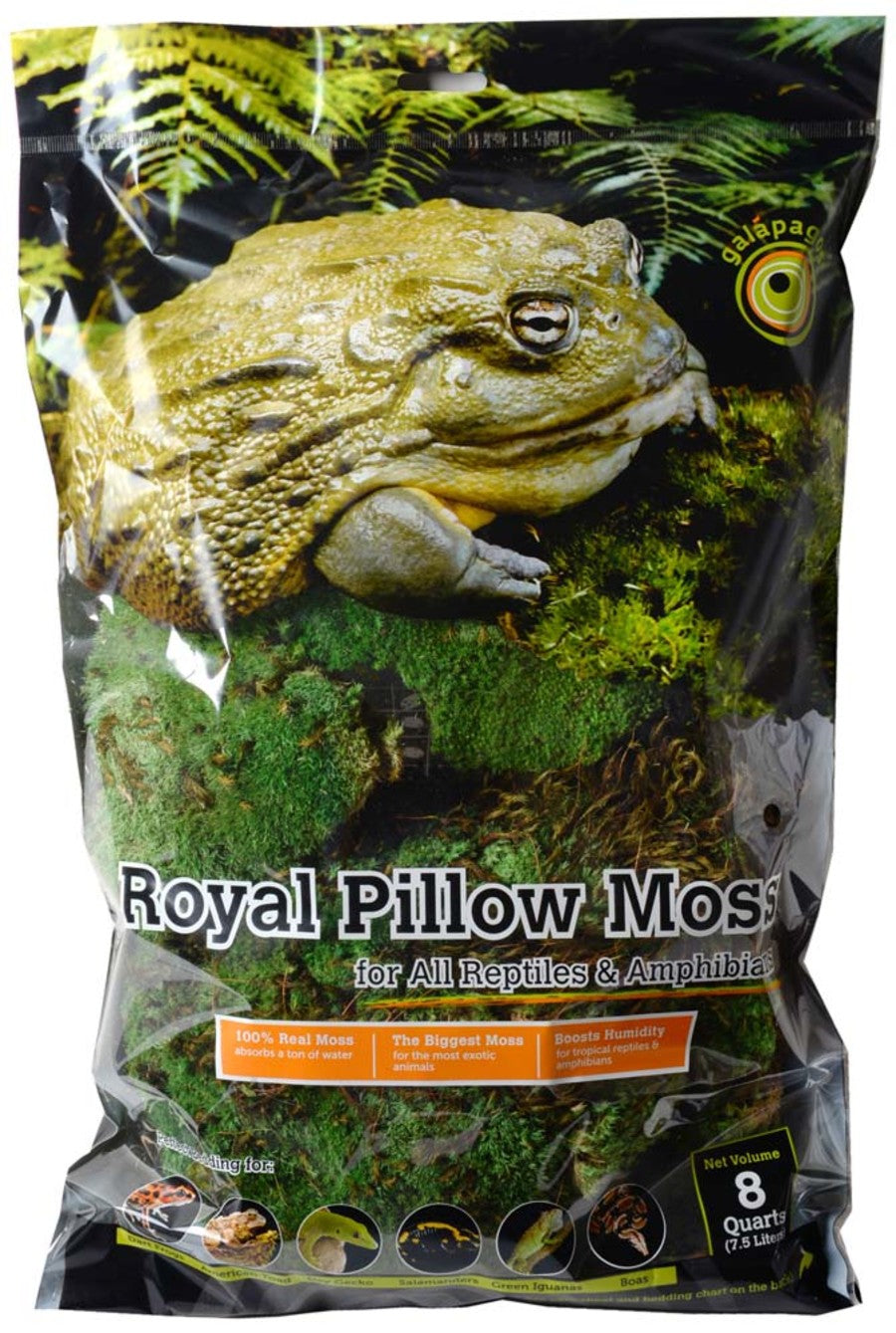 Galapagos Royal Pillow Moss for Tropical & Forest Tanks
