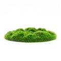 Penn-Plax Aqua-Flora Living Moss Patch Aquarium Ornament