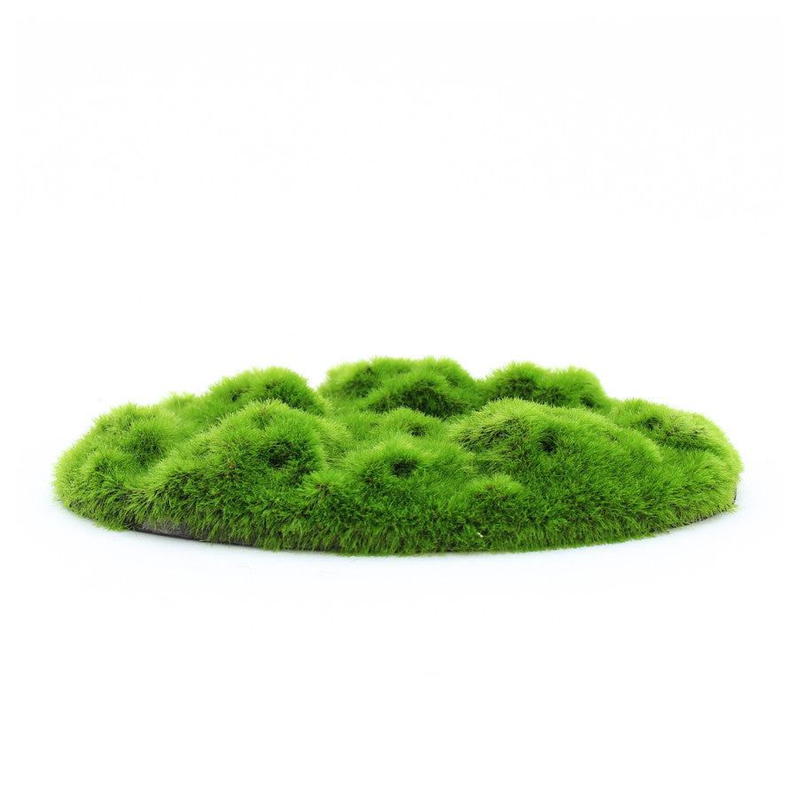 Penn-Plax Aqua-Flora Living Moss Patch Aquarium Ornament