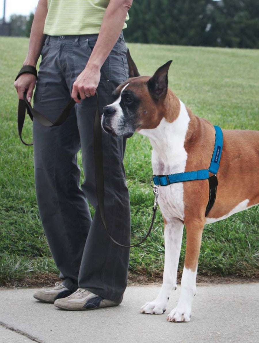 PetSafe Deluxe Easy Walk Steel Dog Harness