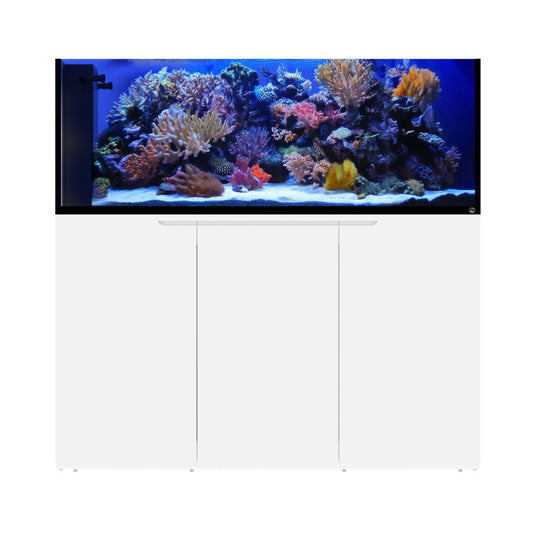 Eshopps Mariner Peninsula Reef System with Stand