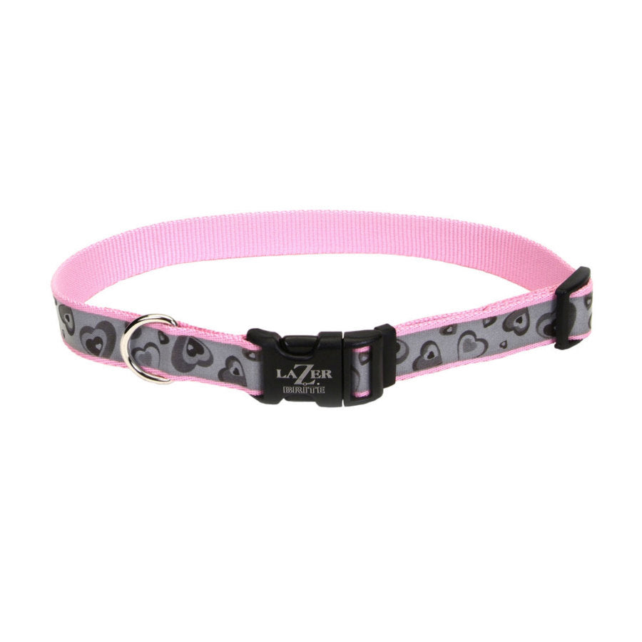Lazer Brite Reflective Adjustable Dog Collar