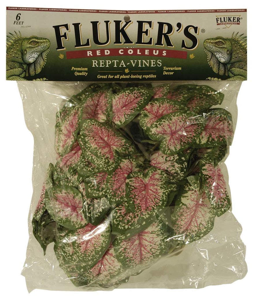 Fluker's Red Coleus Repta-Vines