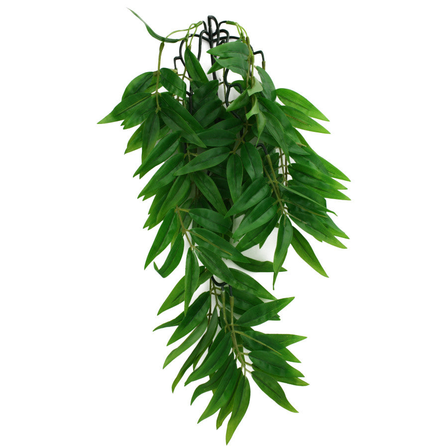 Komodo Bamboo Hanging Plant
