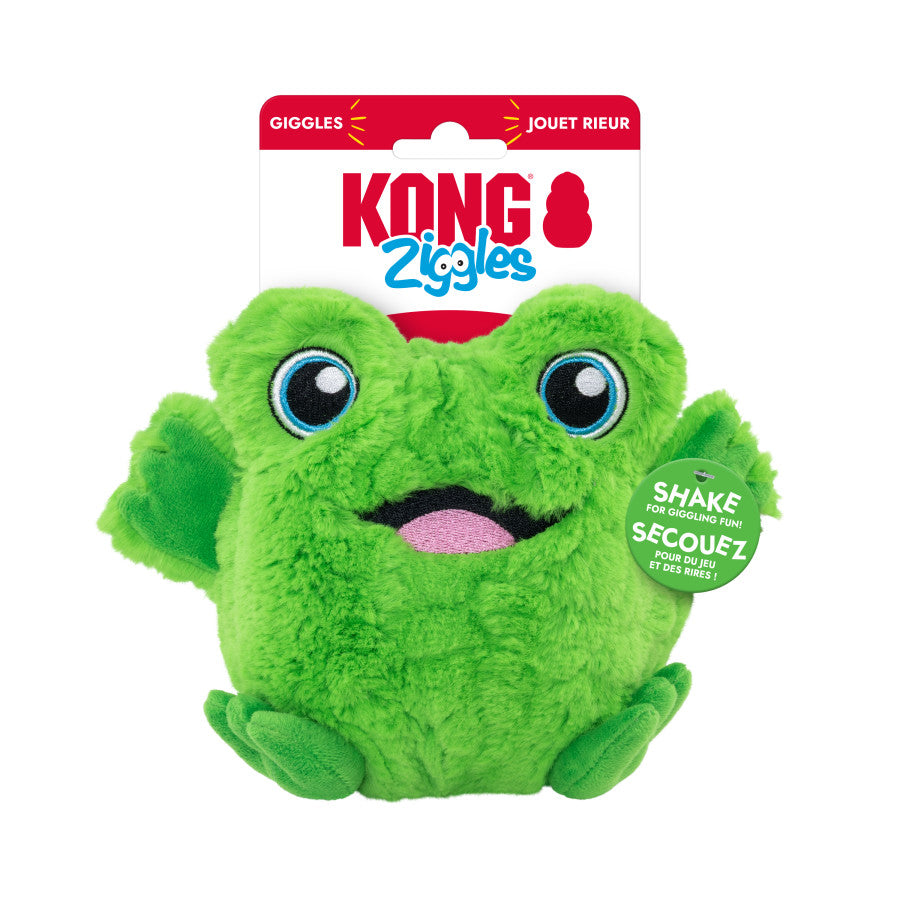 KONG Ziggles Frog Dog Toy
