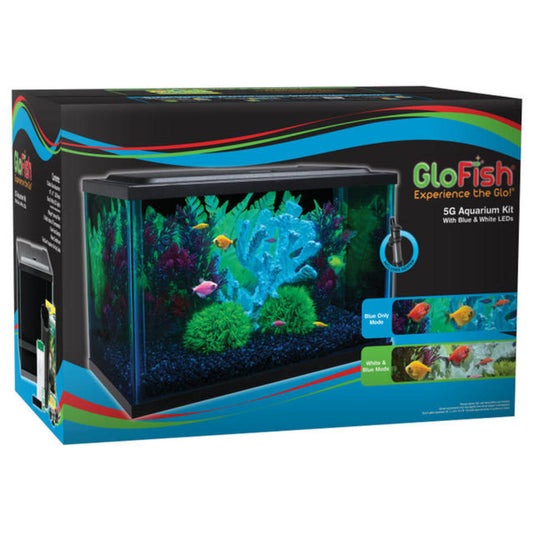 GloFish Glass Aquarium Kit