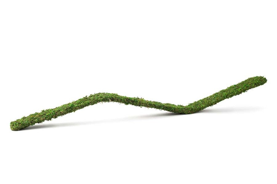 Galapagos Flexible Bridge Terrarium Ornament