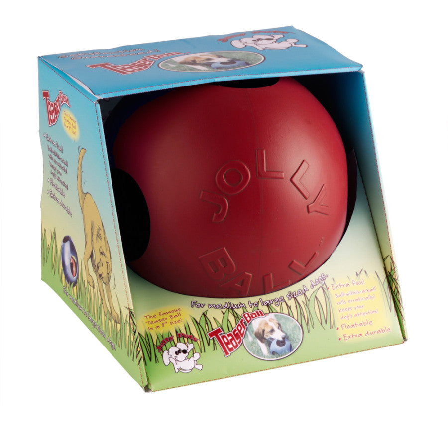 Jolly Pet Teaser Ball Dog Toy