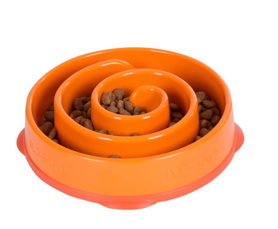 Outward Hound Fun Feeder Slo-Dog Bowl