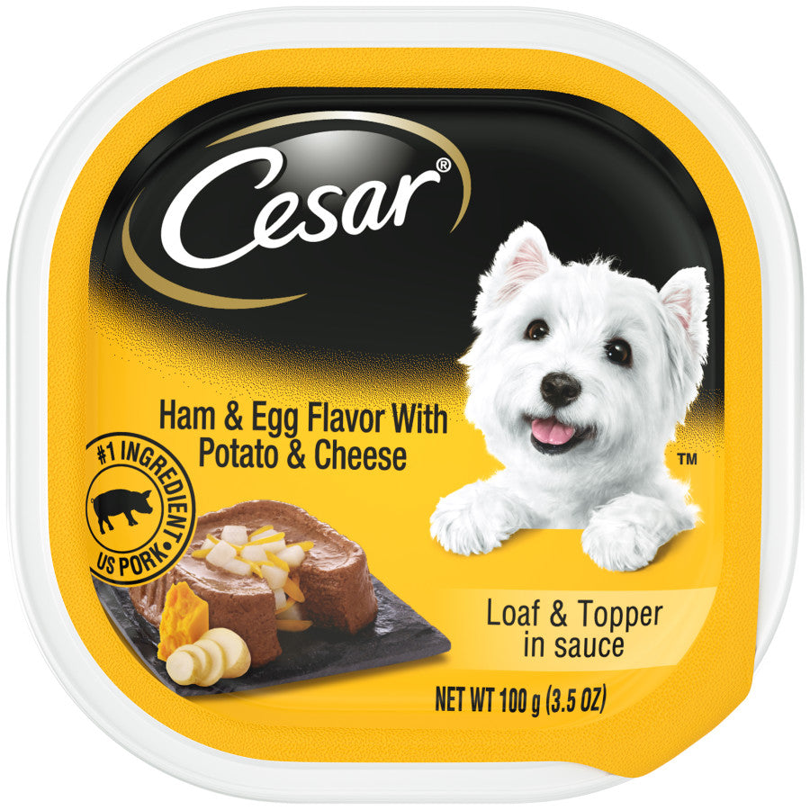 Cesar Loaf & Topper in Sauce Adult Wet Dog Food