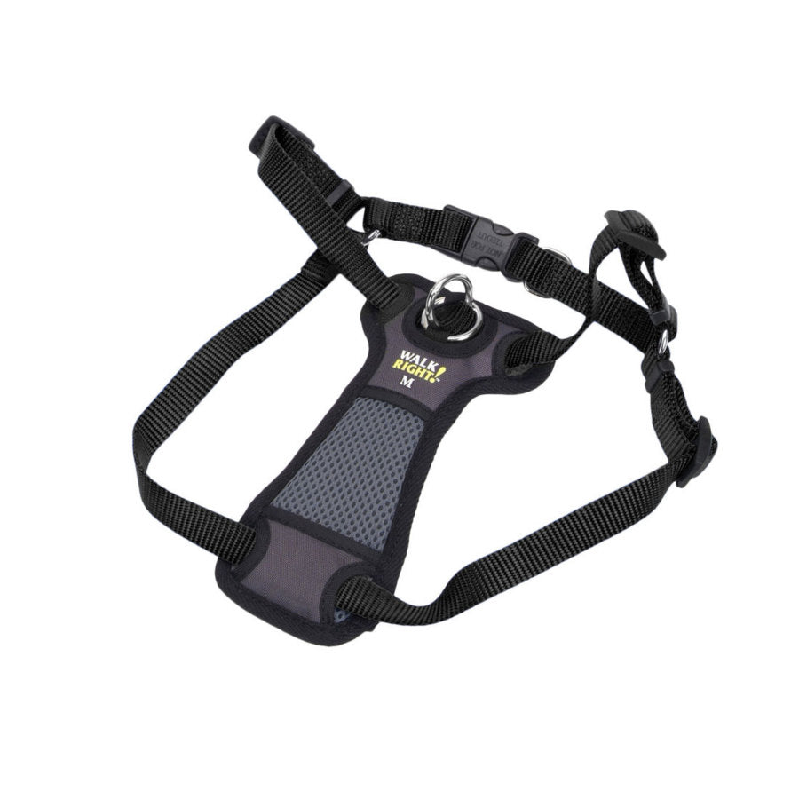 Walk Right Front-Connect Padded Dog Harness